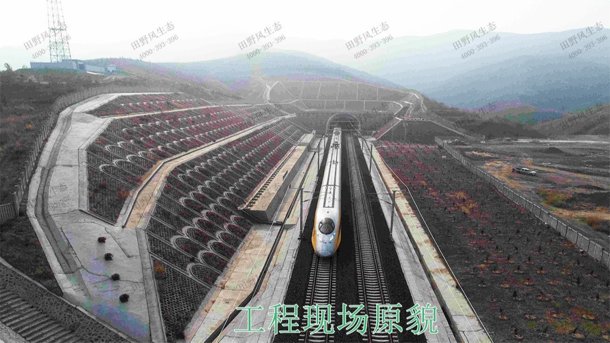 廈深鐵路廣東段鐵路邊坡掛網(wǎng)復(fù)綠工程 廈深鐵路廣東段鐵路邊坡掛網(wǎng)復(fù)綠工程