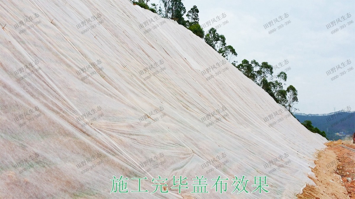 廈深鐵路廣東段鐵路邊坡掛網(wǎng)復(fù)綠工程 廈深鐵路廣東段鐵路邊坡掛網(wǎng)復(fù)綠工程