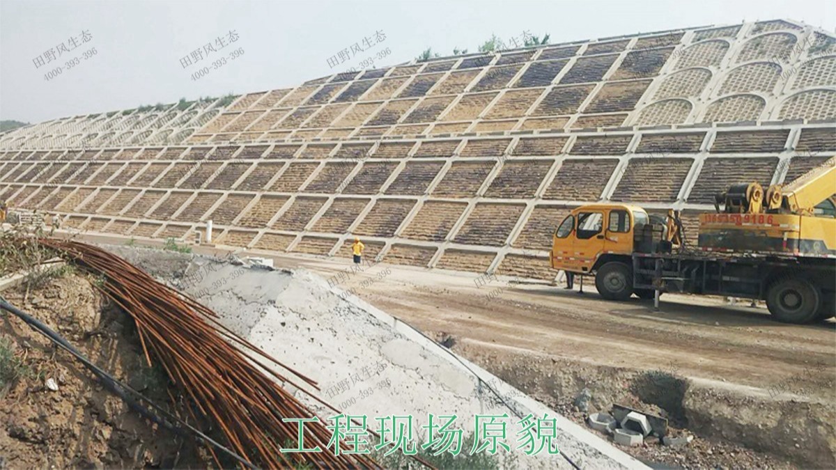 贛深鐵路廣東段鐵路邊坡綠化工程 贛深鐵路廣東段鐵路邊坡綠化工程