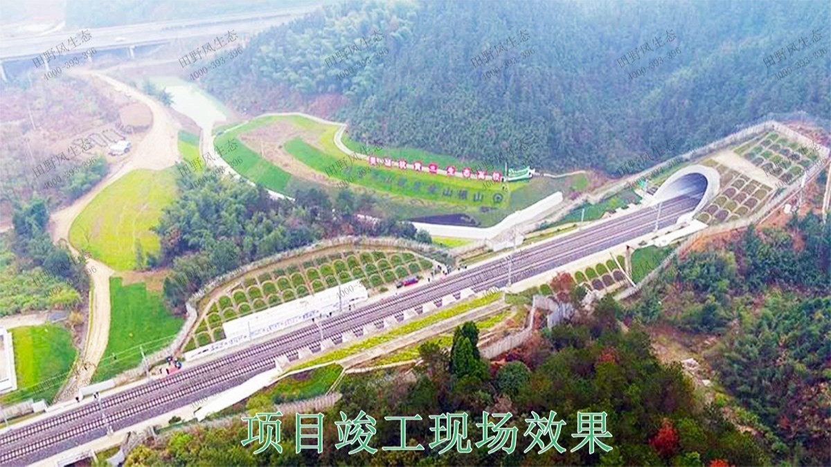 贛深鐵路廣東段鐵路邊坡綠化工程 贛深鐵路廣東段鐵路邊坡綠化工程
