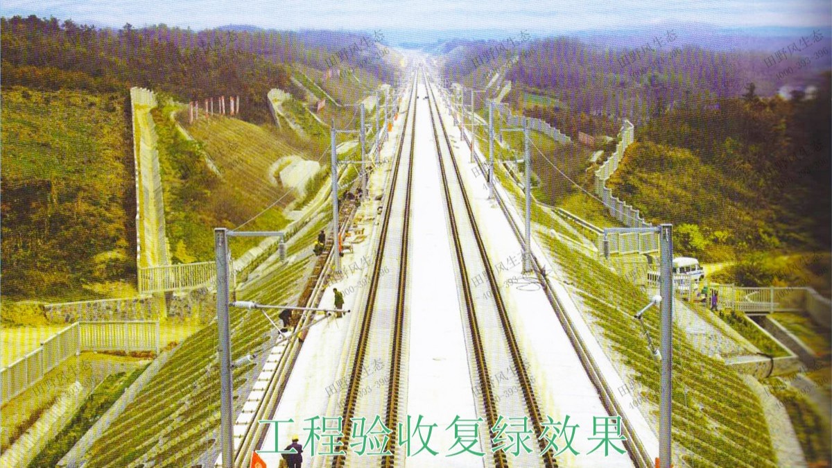 南昆高速鐵路廣西段鐵路邊坡綠化工程 南昆高速鐵路廣西段鐵路邊坡綠化工程