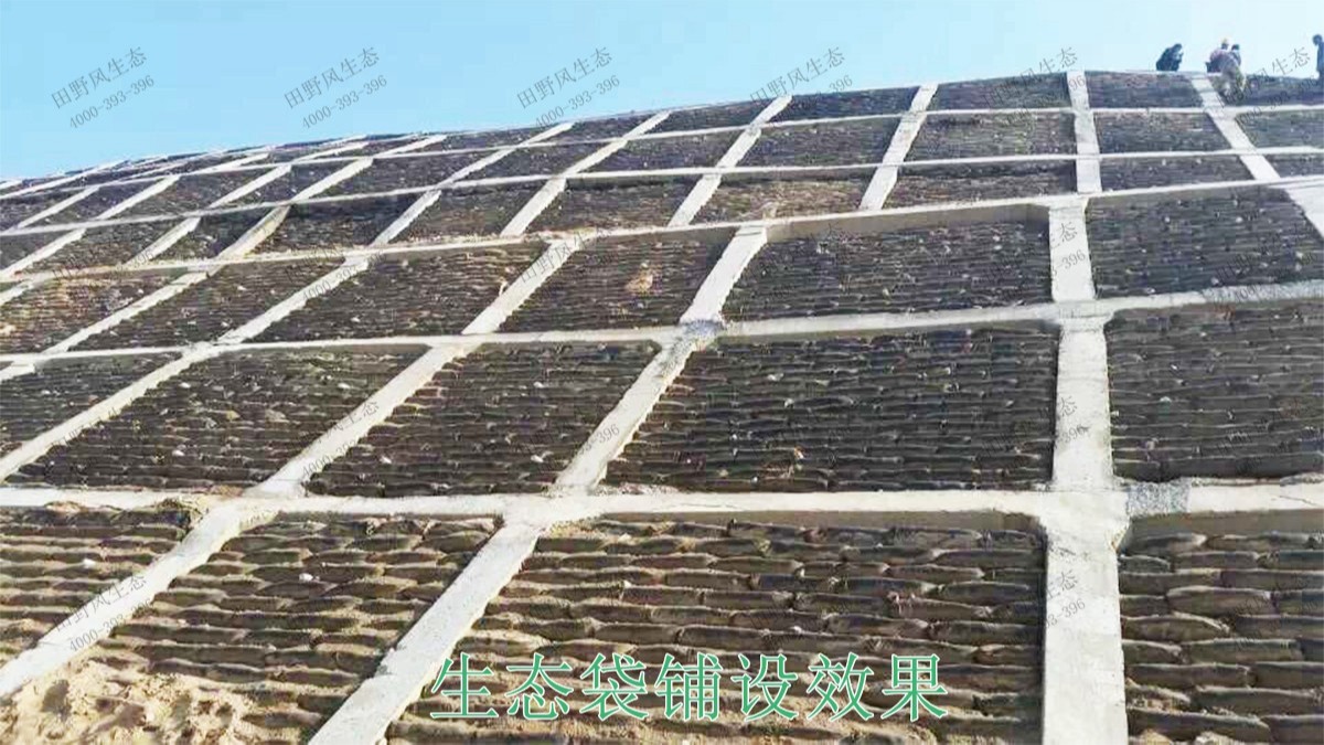 南昆高速鐵路廣西段鐵路邊坡綠化工程 南昆高速鐵路廣西段鐵路邊坡綠化工程