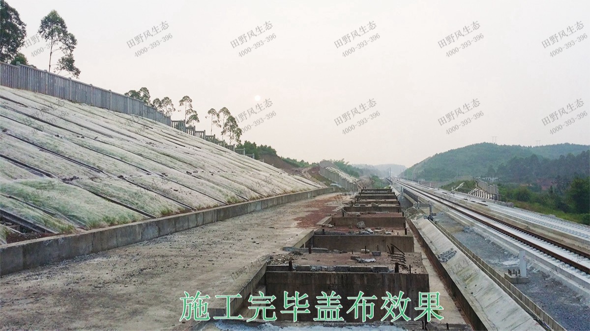 南昆高速鐵路廣西段鐵路邊坡綠化工程 南昆高速鐵路廣西段鐵路邊坡綠化工程