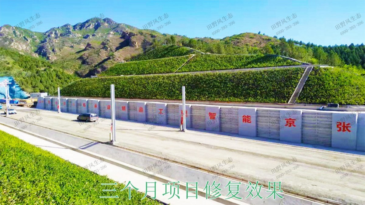 南昆高速鐵路廣西段鐵路邊坡綠化工程 南昆高速鐵路廣西段鐵路邊坡綠化工程