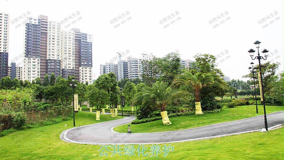 3公共綠化養(yǎng)護 3公共綠化養(yǎng)護