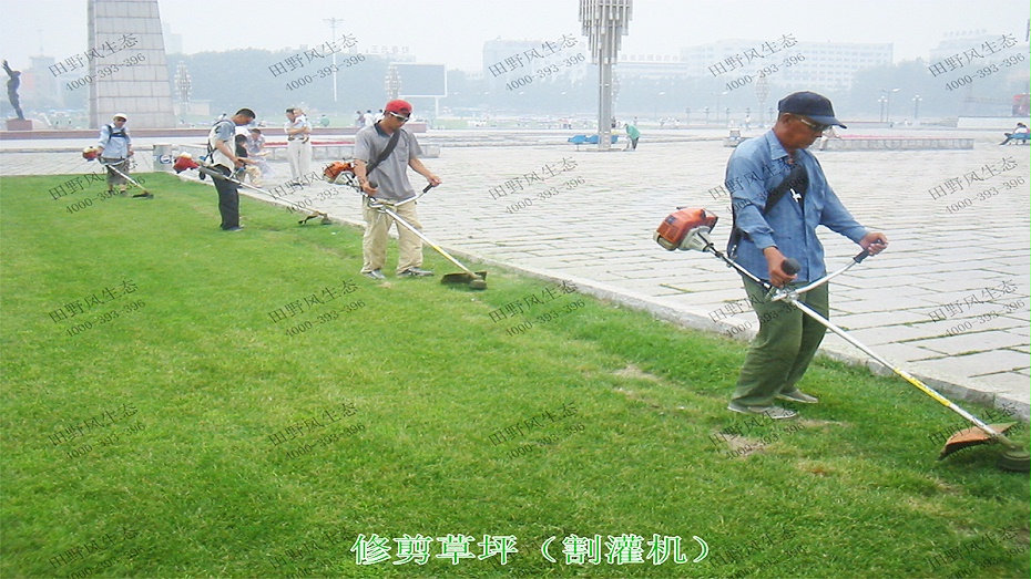 2修剪草坪(割灌機(jī))1 2修剪草坪(割灌機(jī))1