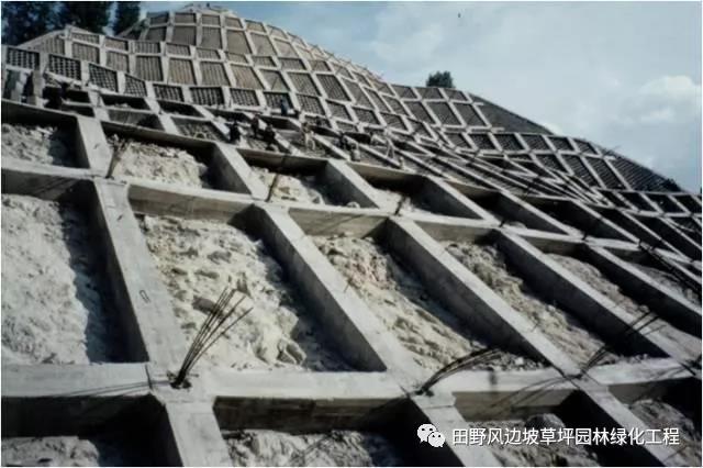 微信圖片_20200603082717 微信圖片_20200603082717