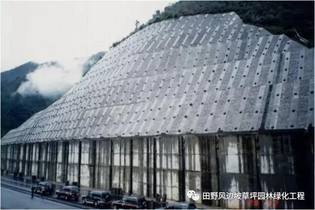 微信圖片_20200603082719 微信圖片_20200603082719