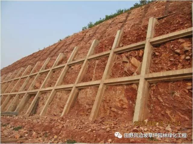 微信圖片_20200603082729 微信圖片_20200603082729