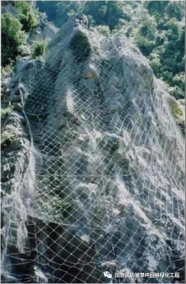 微信圖片_20200603082645 微信圖片_20200603082645