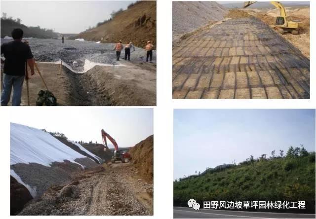 微信圖片_20200603082816 微信圖片_20200603082816