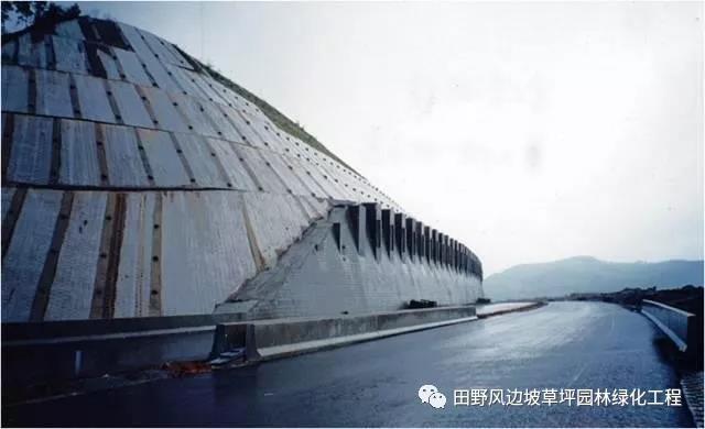 微信圖片_20200603082819 微信圖片_20200603082819