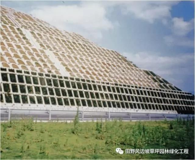 微信圖片_20200603082822 微信圖片_20200603082822