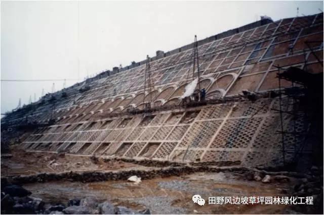 微信圖片_20200603082825 微信圖片_20200603082825