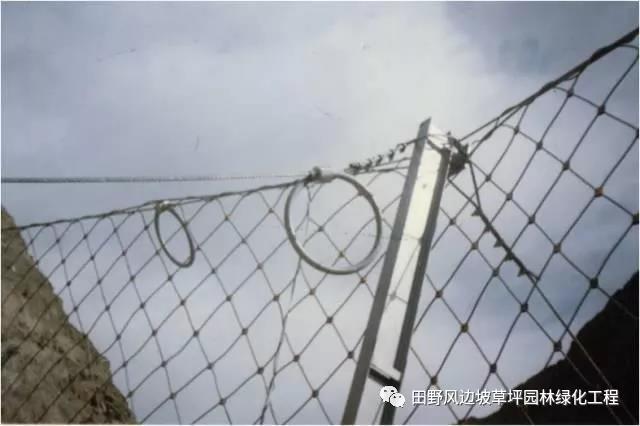 微信圖片_20200603082650 微信圖片_20200603082650