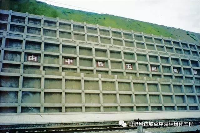 微信圖片_20200603082828 微信圖片_20200603082828