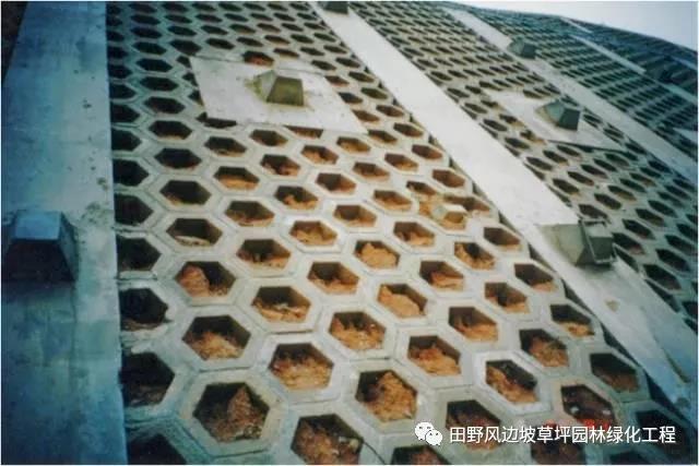 微信圖片_20200603082831 微信圖片_20200603082831