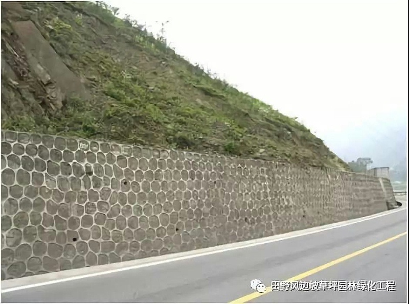 微信圖片_20200603082654 微信圖片_20200603082654