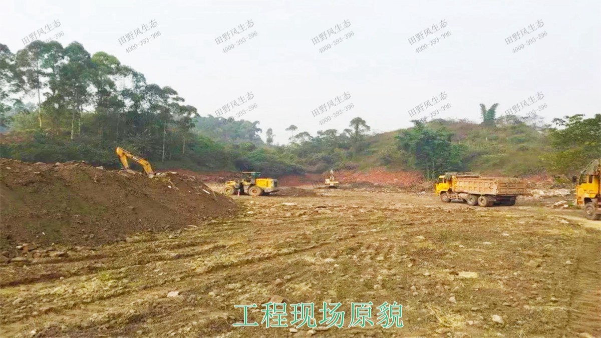 江西瑞昌市景區(qū)花海工程 江西瑞昌市景區(qū)花海工程