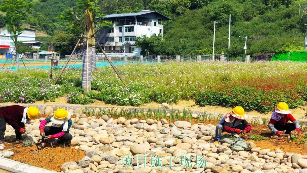 江西瑞昌市景區(qū)花海工程 江西瑞昌市景區(qū)花海工程