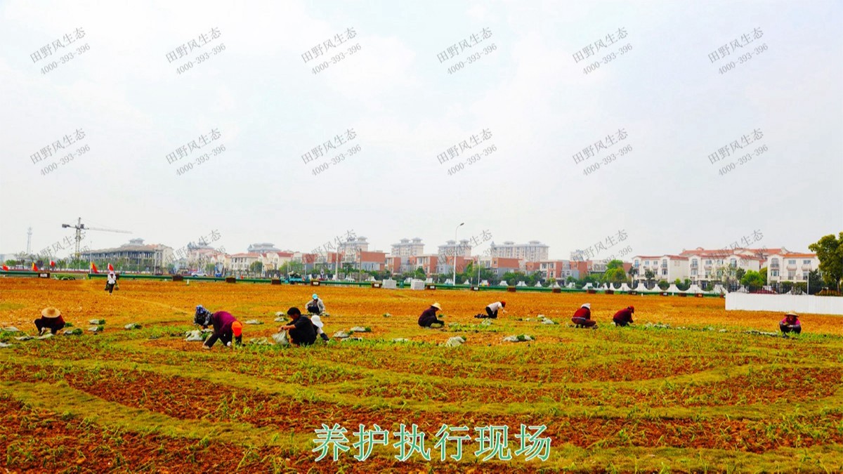 江西瑞昌市景區(qū)花海工程 江西瑞昌市景區(qū)花海工程