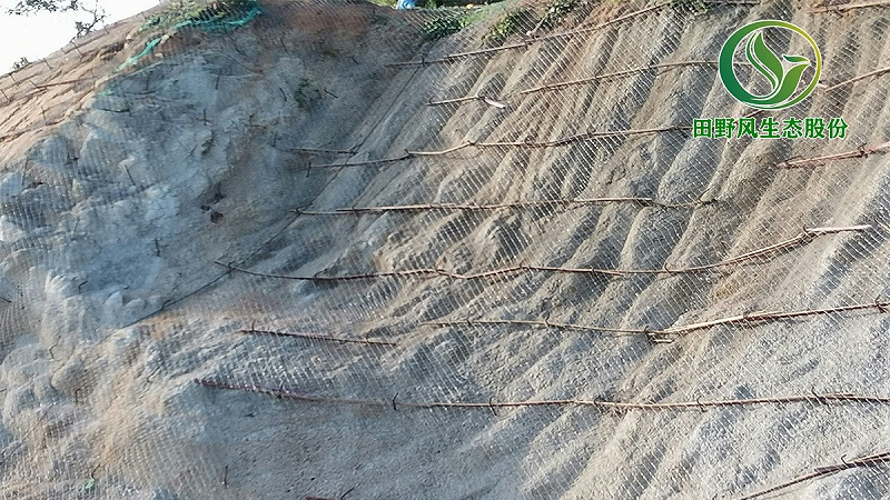 礦山噴播植草 礦山噴播植草