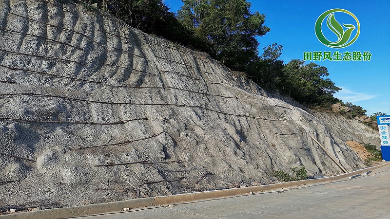 巖石邊坡復(fù)綠 巖石邊坡復(fù)綠