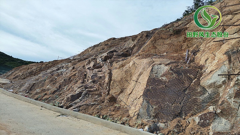 巖質(zhì)邊坡掛網(wǎng)植草 巖質(zhì)邊坡掛網(wǎng)植草