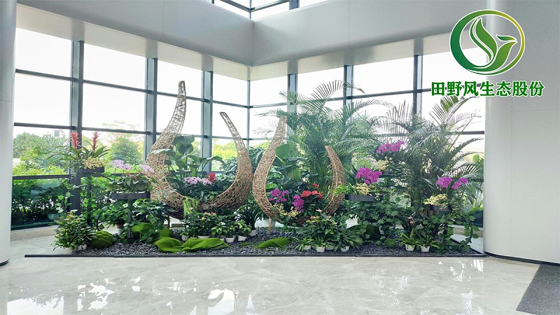 綠植租擺，植物租擺