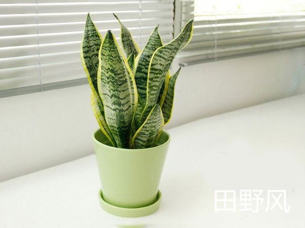 v2-041e4e77f65d72ab7bf3ce196d308eb7_720w_副本 v2-041e4e77f65d72ab7bf3ce196d308eb7_720w_副本