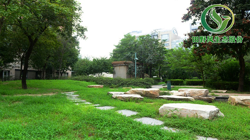 園林綠化，綠植養(yǎng)護(hù)