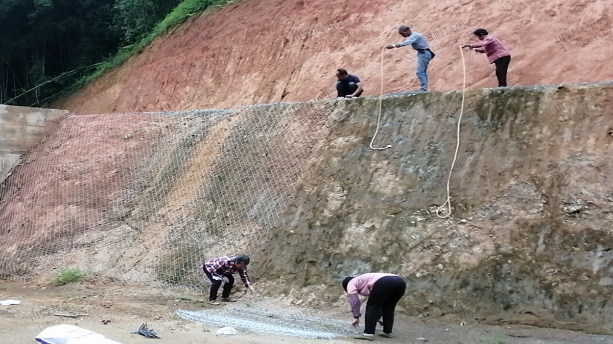 掛鍍鋅鐵絲網(wǎng) 掛鍍鋅鐵絲網(wǎng)