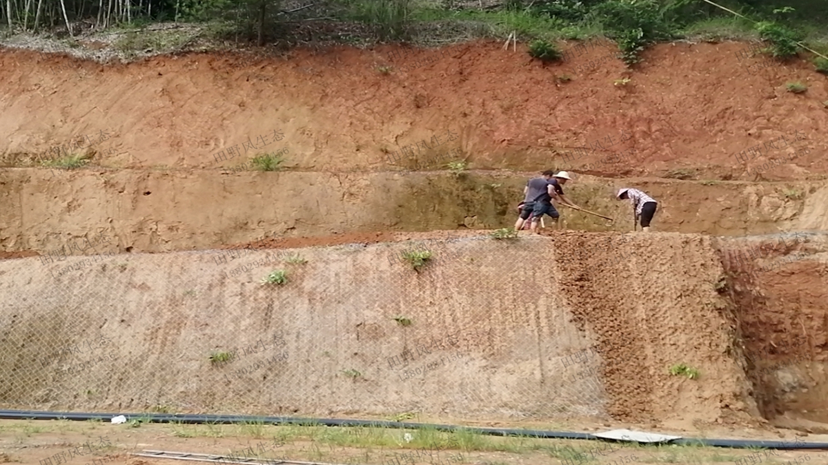 邊坡復綠施工現(xiàn)場 邊坡復綠施工現(xiàn)場