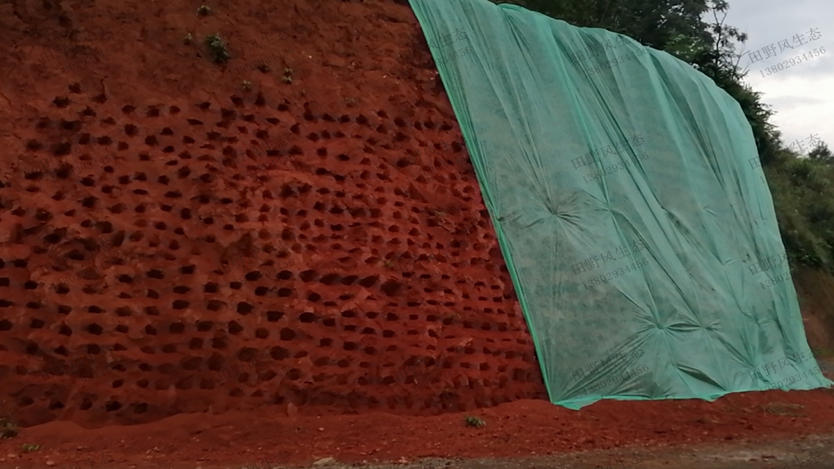 邊坡復綠蓋無紡布 邊坡復綠蓋無紡布