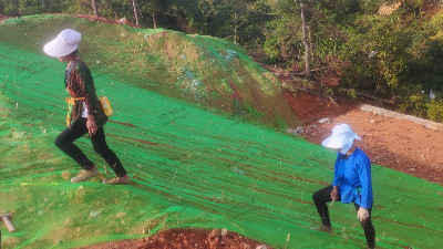 邊坡復(fù)綠掛三維網(wǎng) 邊坡復(fù)綠掛三維網(wǎng)