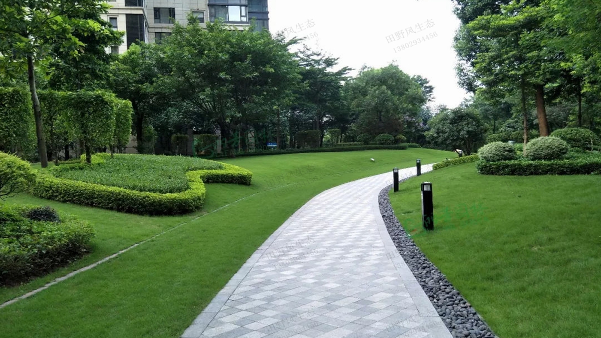 園林綠化 園林綠化