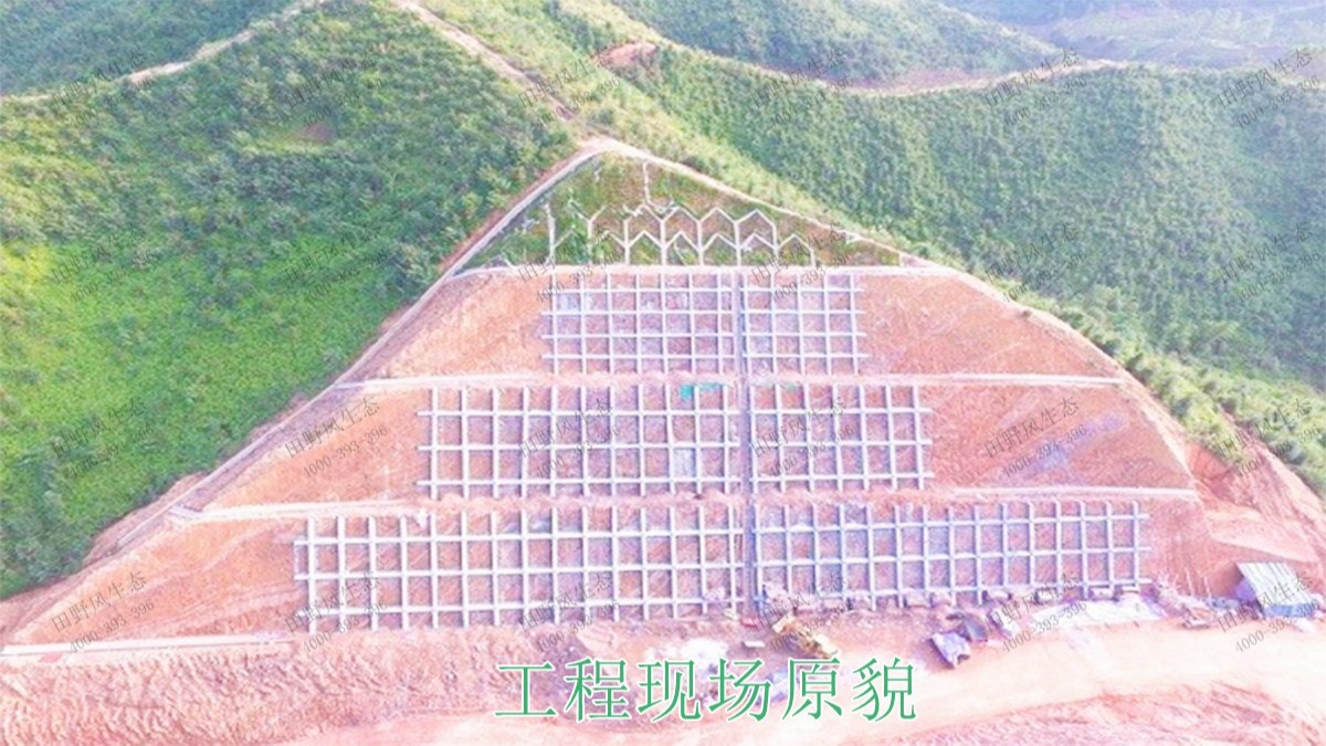 廣東省高州市山體滑坡邊坡復(fù)綠 廣東省高州市山體滑坡邊坡復(fù)綠