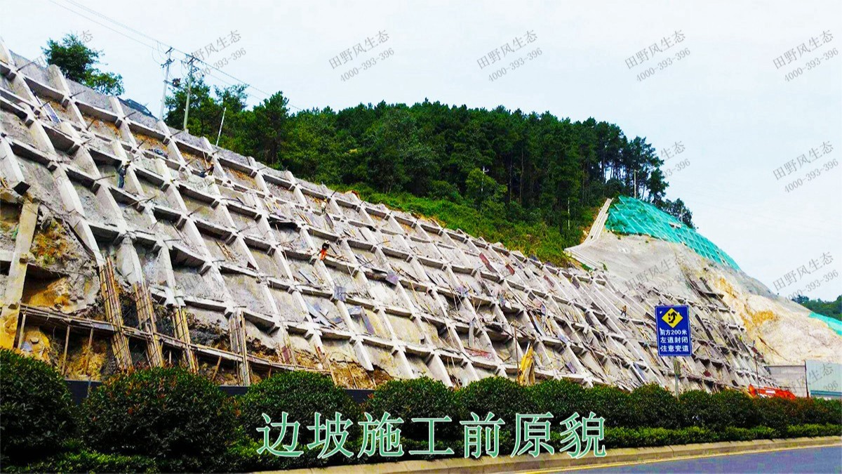 廣西百色山體滑坡生態(tài)修復(fù)工程 廣西百色山體滑坡生態(tài)修復(fù)工程