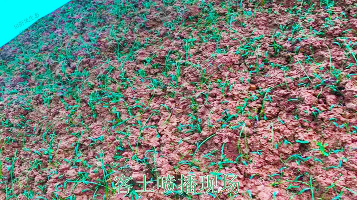 廣西百色山體滑坡生態(tài)修復(fù)工程 廣西百色山體滑坡生態(tài)修復(fù)工程