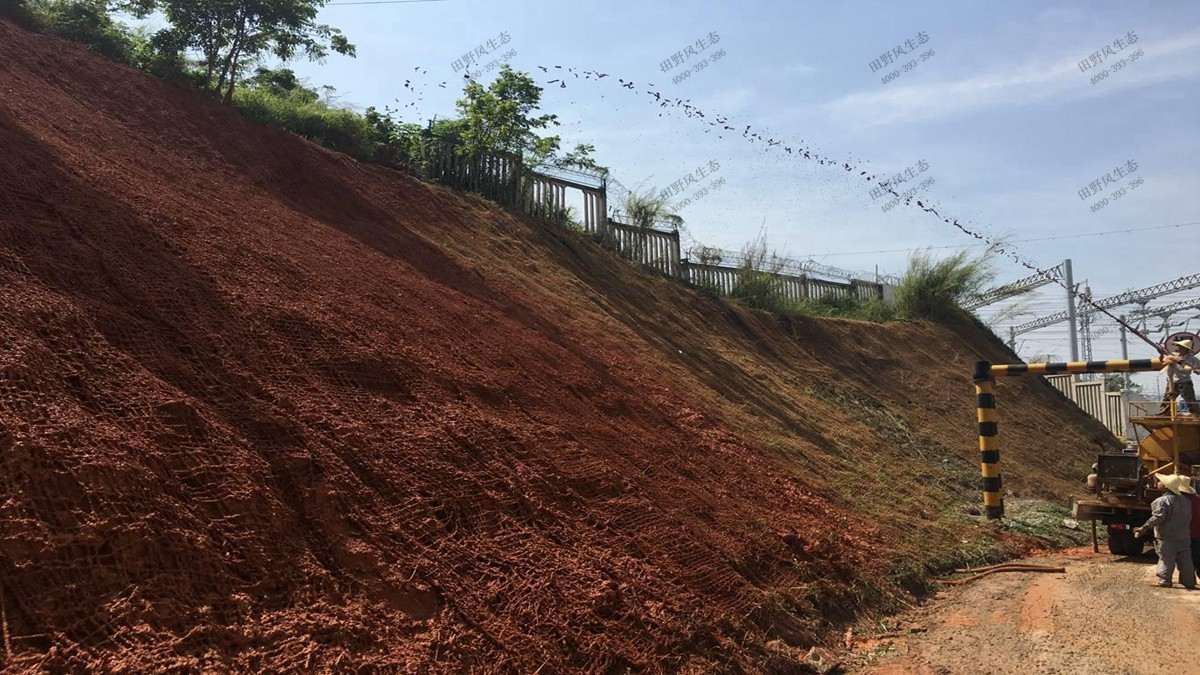 機械噴播現(xiàn)場