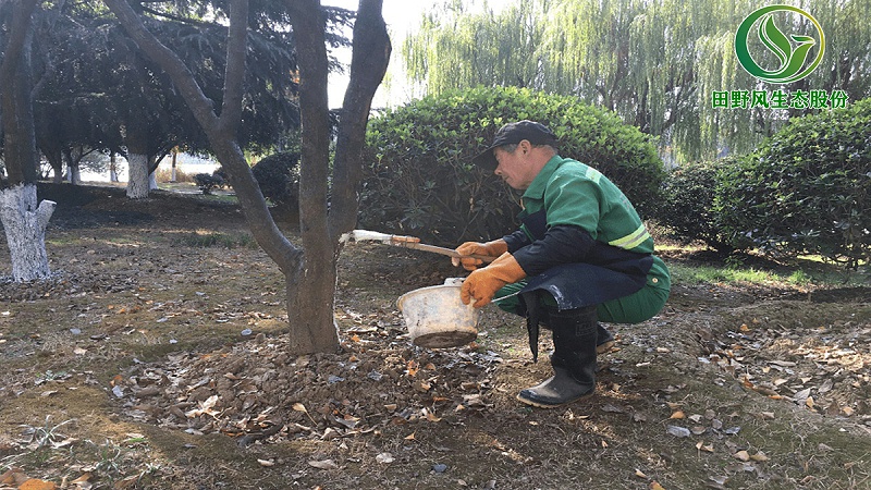 綠化養(yǎng)護(hù),綠植養(yǎng)護(hù) 綠化養(yǎng)護(hù),綠植養(yǎng)護(hù)