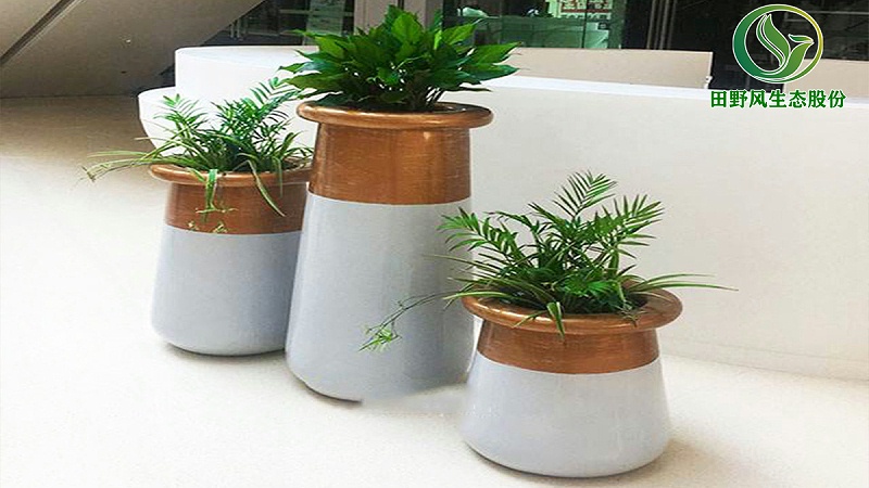 花卉租擺,租擺場(chǎng)景設(shè)計(jì)