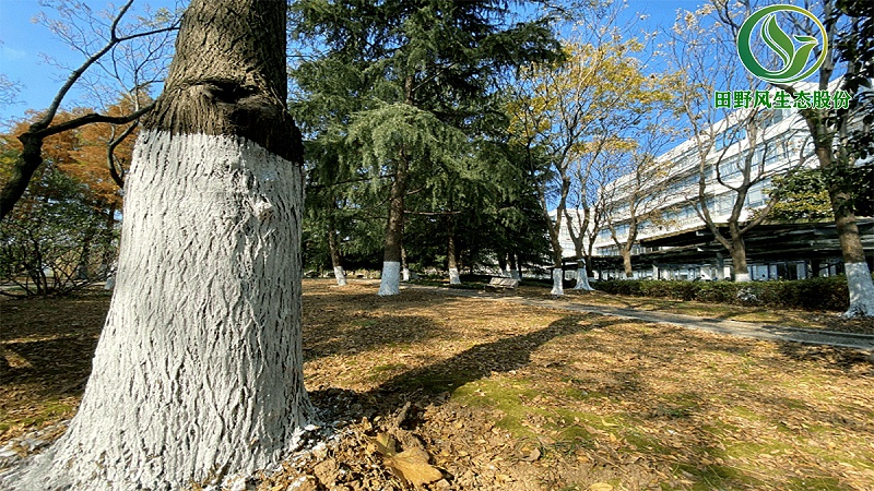 綠化養(yǎng)護(hù),綠植養(yǎng)護(hù) 綠化養(yǎng)護(hù),綠植養(yǎng)護(hù)