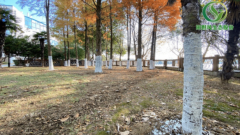 綠化養(yǎng)護(hù),綠植養(yǎng)護(hù) 綠化養(yǎng)護(hù),綠植養(yǎng)護(hù)