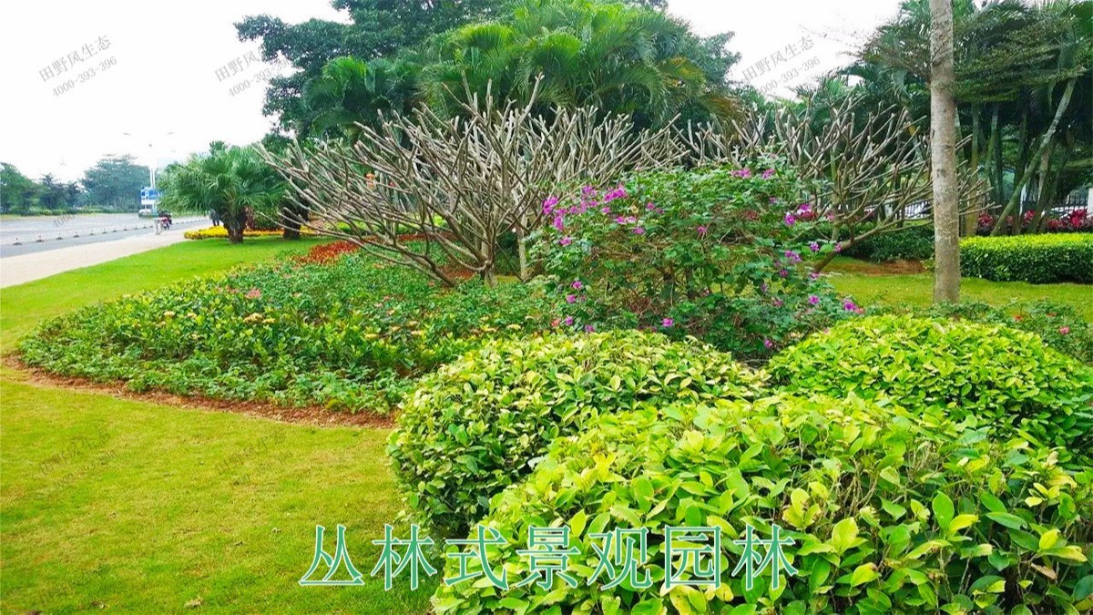 廣東珠海斗門濕地公園市政工程 廣東珠海斗門濕地公園市政工程