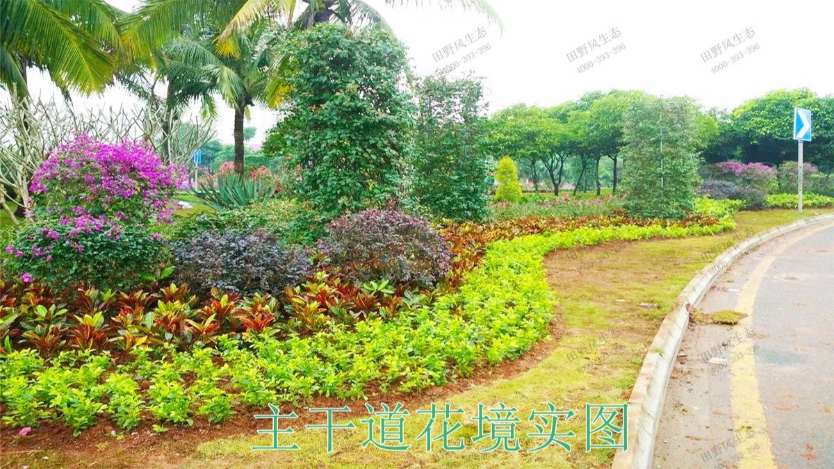 廣東珠海斗門濕地公園市政工程 廣東珠海斗門濕地公園市政工程