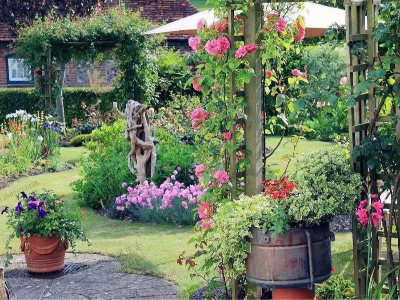 10種冬季開花的花卉，你喜歡哪種？