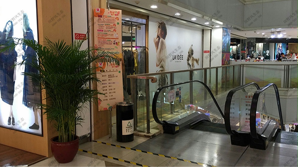 廣州時代廣場植物花草租賃案例 廣州時代廣場植物花草租賃案例