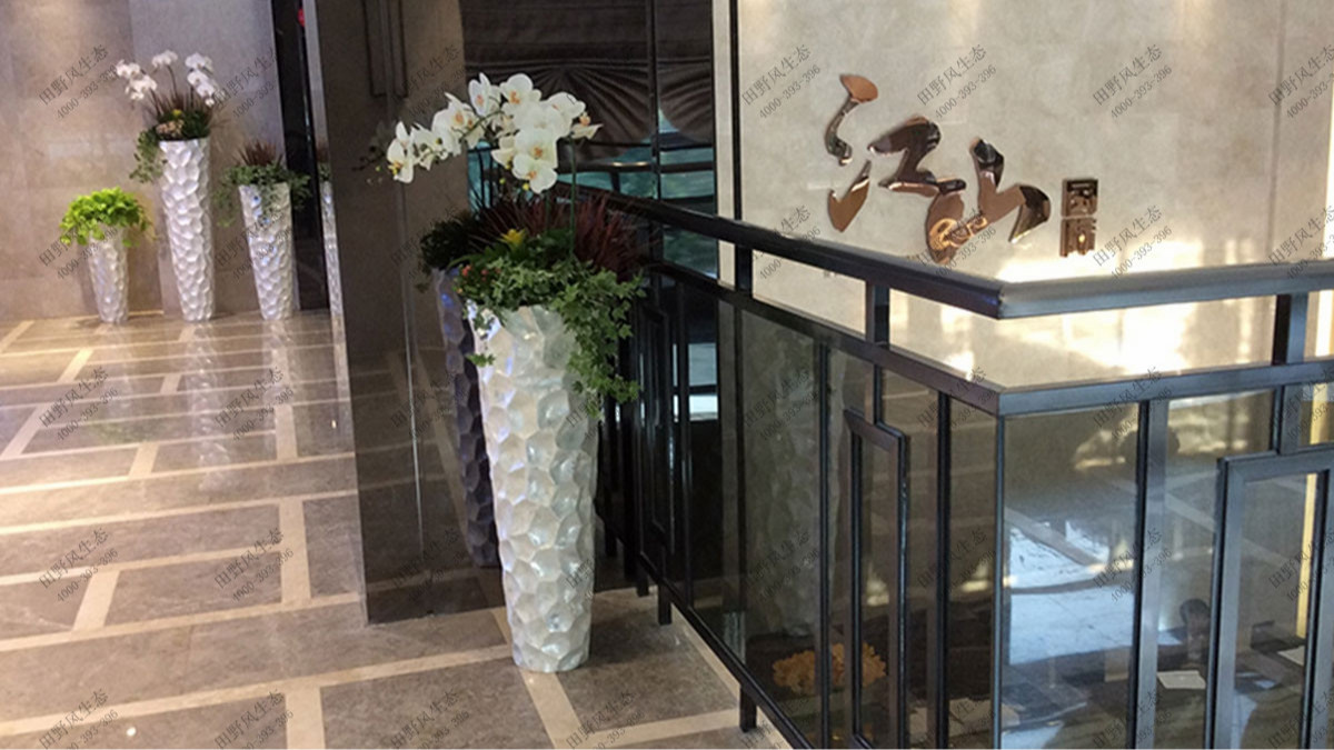 廣東國際大酒店綠植出租案例 廣東國際大酒店綠植出租案例