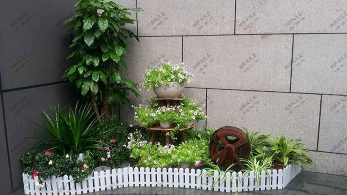 廣東國際大酒店綠植出租案例 廣東國際大酒店綠植出租案例